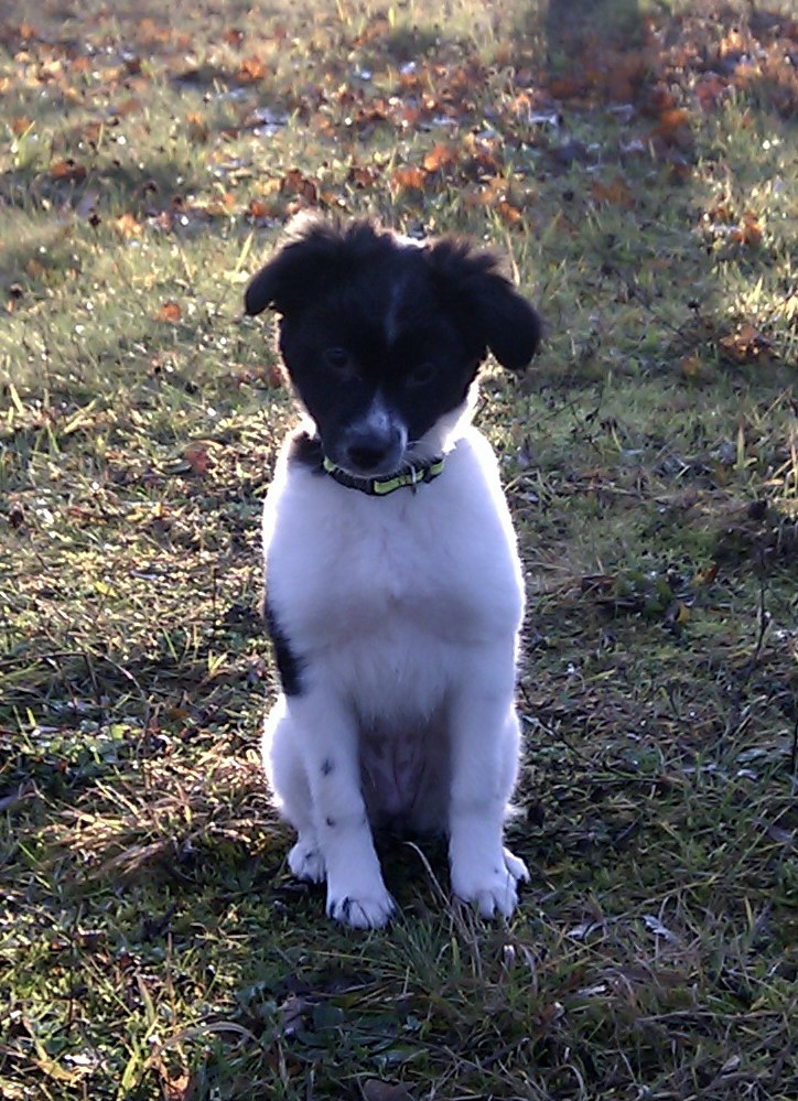 Lexy (Unbekannt) Unbekannt 